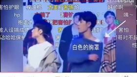 cp吃瓜直播娱乐圈,CP吃瓜直播，揭秘明星幕后故事